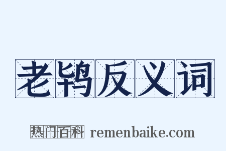 老鸨反义词是什么意思的图片